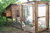 Cambrian Chicken Coop with 18" Stand and Run